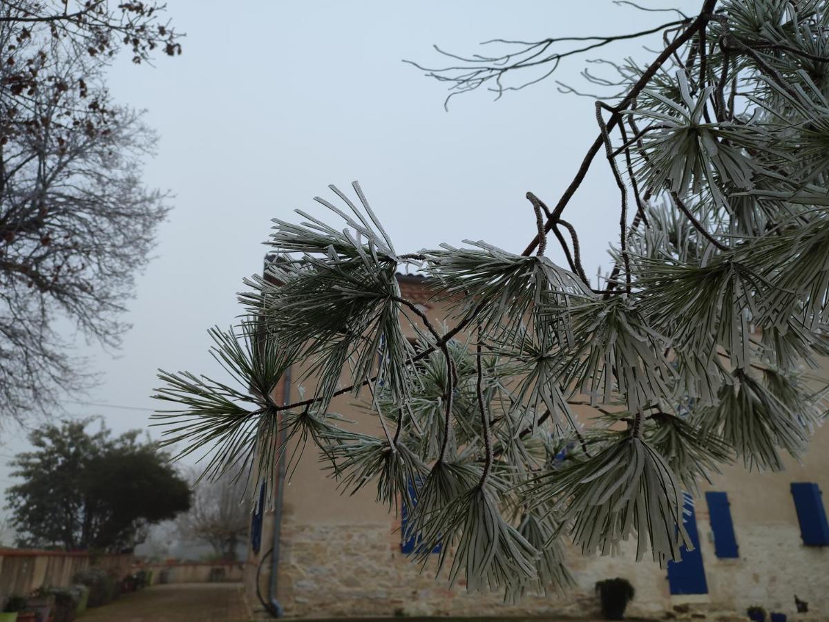 Relais De La Poste Ch Rose Monclar-de-Quercy
