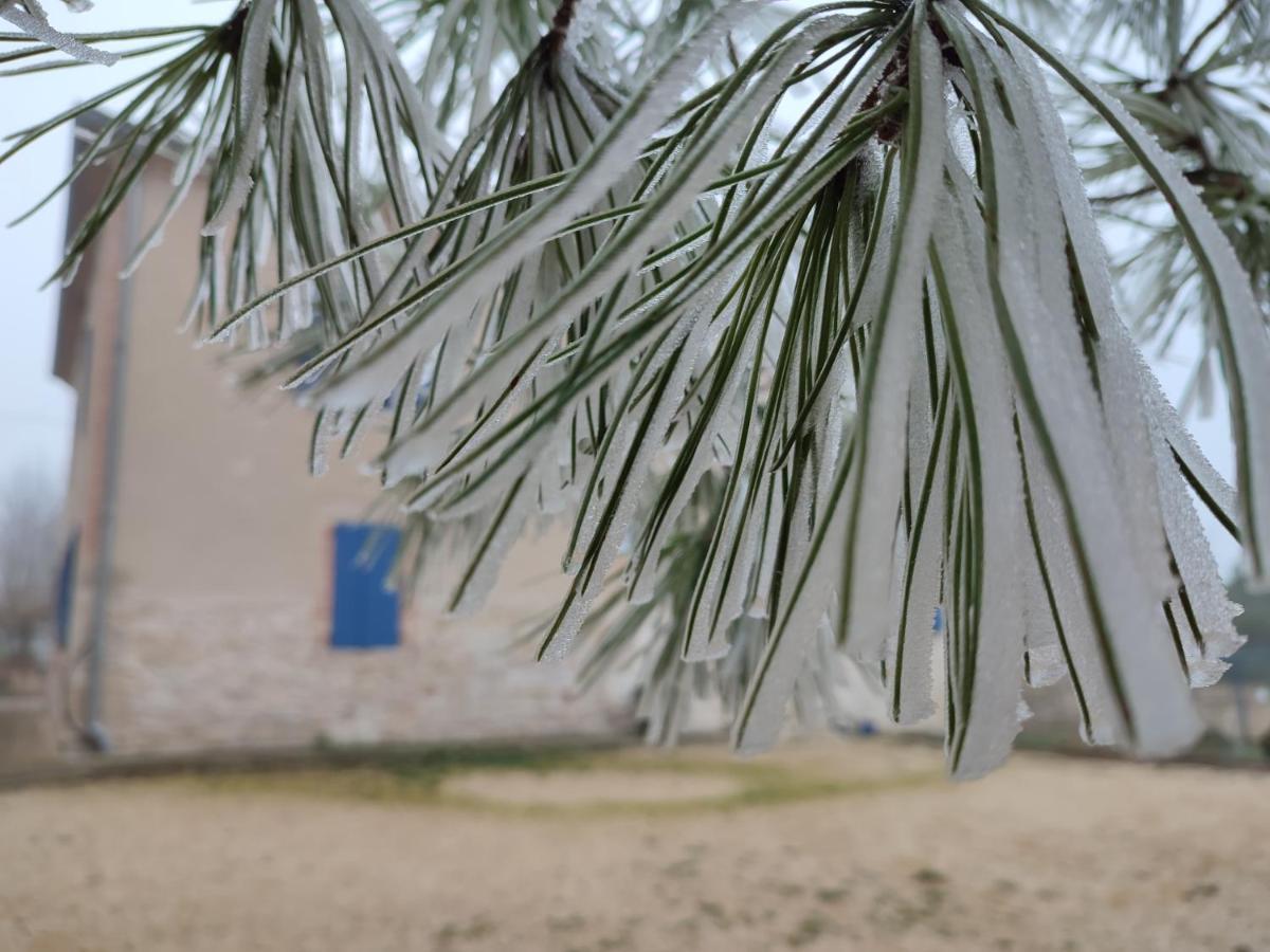 Relais De La Poste Ch Rose Bed & Breakfast *