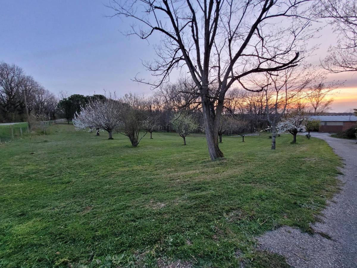 Relais De La Poste Ch Rose Bed & Breakfast Monclar-de-Quercy